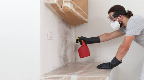 Professional Crawl Space Mold Remediation technician working in Stanwood, MI
